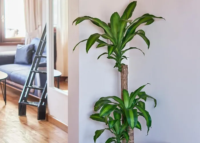 شقة Nuve اسطنبول