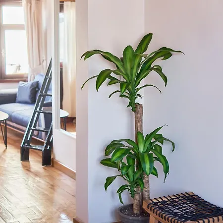 شقة Nuve اسطنبول